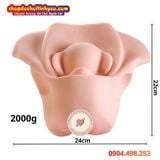  Âm Đạo Tử Cung Giả Thiết Kế Hình Dạng Xương Chậu Nữ Giới 