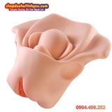  Âm Đạo Tử Cung Giả Thiết Kế Hình Dạng Xương Chậu Nữ Giới 