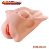  Âm Đạo Tử Cung Giả Thiết Kế Hình Dạng Xương Chậu Nữ Giới 