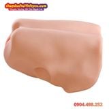  Âm Đạo Tử Cung Giả Thiết Kế Hình Dạng Xương Chậu Nữ Giới 