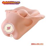  Âm Đạo Tử Cung Giả Thiết Kế Hình Dạng Xương Chậu Nữ Giới 