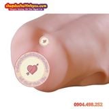  Âm Đạo Tử Cung Giả Thiết Kế Hình Dạng Xương Chậu Nữ Giới 
