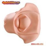  Âm Đạo Tử Cung Giả Thiết Kế Hình Dạng Xương Chậu Nữ Giới 