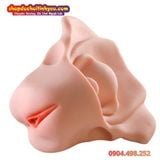  Âm Đạo Tử Cung Giả Thiết Kế Hình Dạng Xương Chậu Nữ Giới 