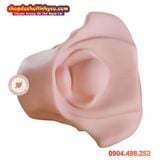  Âm Đạo Tử Cung Giả Thiết Kế Hình Dạng Xương Chậu Nữ Giới 