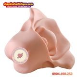  Âm Đạo Tử Cung Giả Thiết Kế Hình Dạng Xương Chậu Nữ Giới 