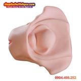  Âm Đạo Tử Cung Giả Thiết Kế Hình Dạng Xương Chậu Nữ Giới 