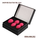  Bộ Bóng Co Bóp Phục Hồi Cơ Sàn Chậu Thu Hẹp Âm Đạo SVAKOM 