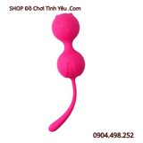  Bóng Tập Luyện Se Khít Âm Đạo Thiết Kế Hình Gấu KEGEL BALLS 