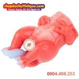  Búp Bê Tình Dục Bán Thân Fantasy Hình Dáng Rồng Đỏ Gợi Dục 