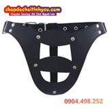  Đai Trinh Tiết Thiết Kế Dạng Quần Lót Da PU Dành Cho Nữ 