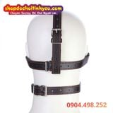  Dây Đai Đeo Đầu Bịt Mắt Kèm Quả Bóng Ép Buộc Miệng Ngậm SM 