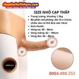  Quần Dương Vật Giả Silicone Rỗng Ruột Cạp Cao Thấp Cho Nam 