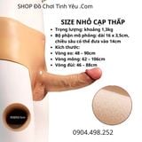  Dương Vật Giả Liền Quần Silicon Cạp Thấp Rỗng Ruột Cho Nam 