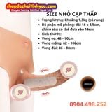  Quần Dương Vật Giả Silicone Rỗng Ruột Cạp Cao Thấp Cho Nam 