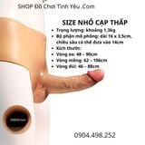  Dương Vật Giả Liền Quần Silicon Cạp Thấp Rỗng Ruột Cho Nam 