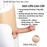  Dương Vật Giả Mặc Quần Lót Silicon Cạp Cao Đặc Ruột Size Lớn 