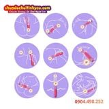  Dương Vật Giả Rung AV Tự Động 10 Chế Độ Có Gân Nổi To Đê Mê 