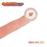  Dương Vật Giả Rung Massage Đồ Chơi Tình Dục Người Lớn Giá Rẻ 
