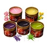  Hộp Nến Nhiệt Độ Thấp Nhỏ Giọt Tra Tấn Tình Dục Bạo Dâm SM 
