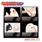  Khóa Dương Vật Thiết Kế Đầu Chó Kèm 4 Vòng Khóa Đa Kích Thước 