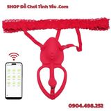  Máy Rung Masage Điểm G Unisex Mặc Quần Điều Khiển Từ Xa 