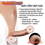  Dương Vật Giả Mặc Quần Lót Silicon Cạp Cao Đặc Ruột Size Lớn 