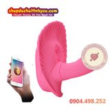  Máy rung vỏ sò hình dương vật mini đeo mặc điều khiển từ xa 