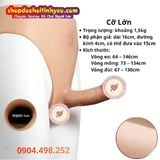  Quần Dương Vật Giả Silicone Rỗng Ruột Cạp Cao Thấp Cho Nam 