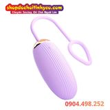  Trứng Rung 10 Chế Độ Có Vân Nổi Dài Ma Sát Điều Khiển Từ Xa 