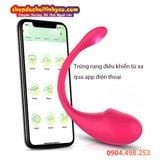  Trứng Rung Kết Nối Bluetooth Điều Khiển APP Massage Điểm G 