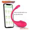 Trứng Rung Kết Nối Bluetooth Điều Khiển APP Massage Điểm G