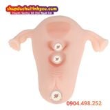  Tử Cung Phụ Nữ Có Âm Đạo Giả MANMIAO REAL UTERUS Siêu Mềm Mại 