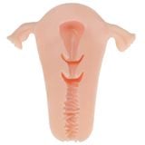  Tử Cung Phụ Nữ Có Âm Đạo Giả MANMIAO REAL UTERUS Siêu Mềm Mại 