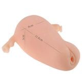  Tử Cung Phụ Nữ Có Âm Đạo Giả MANMIAO REAL UTERUS Siêu Mềm Mại 