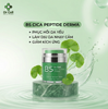 B5 CICA PEPTIDE DERMA