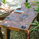 Concept bàn ghế cafe sân vườn