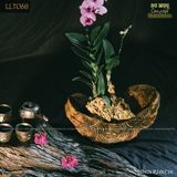 Khay - Chậu gỗ nu điêu khắc