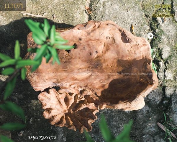 khay-chau-lua-dieu-khac