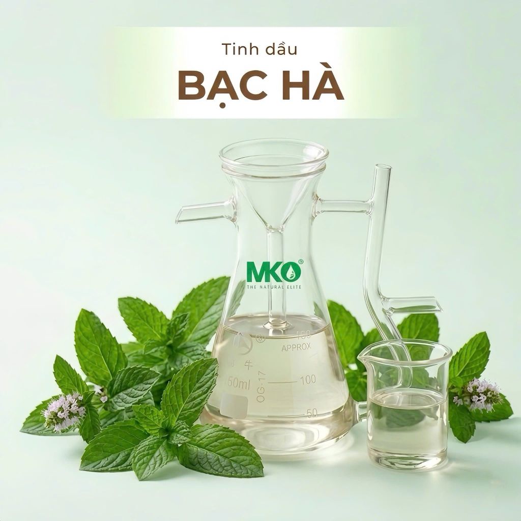 Tinh Dầu Bạc Hà  * * * Peppermint