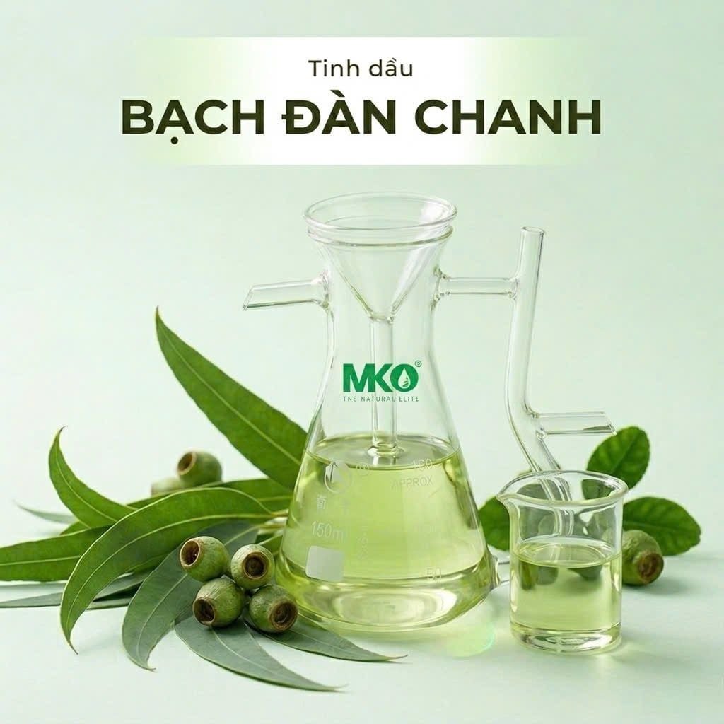 Tinh dầu Bạch Đàn Chanh *** Lemon Eucalyptus