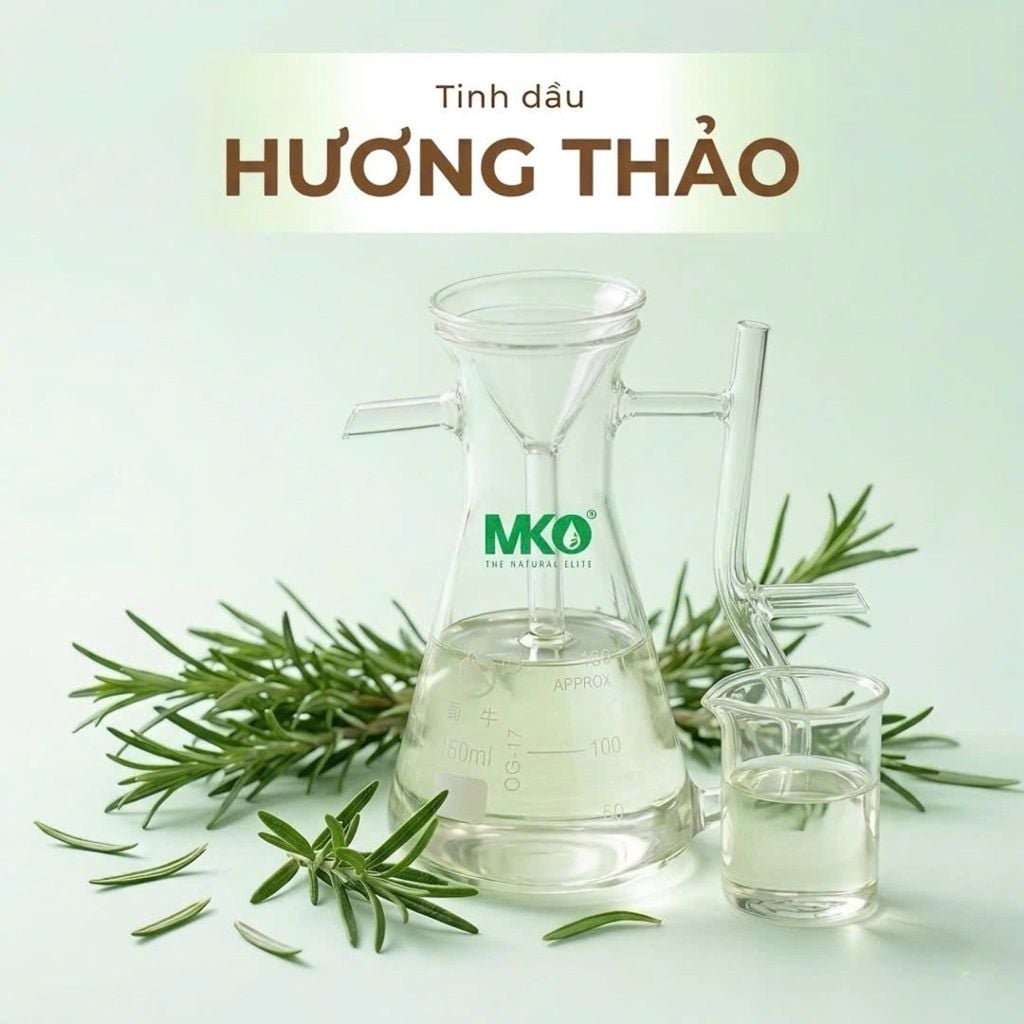Tinh Dầu Hương Thảo * * * Rosemary