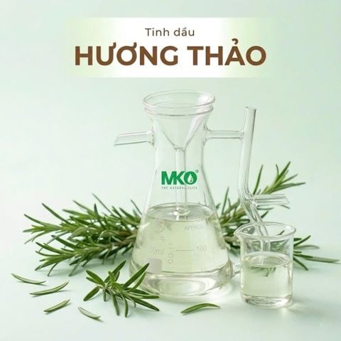 Tinh Dầu Hương Thảo * * * Rosemary