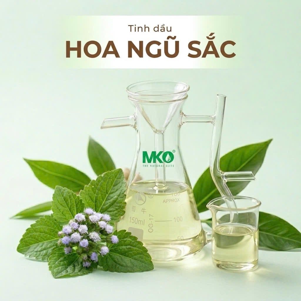 Tinh Dầu Hoa Ngũ Sắc