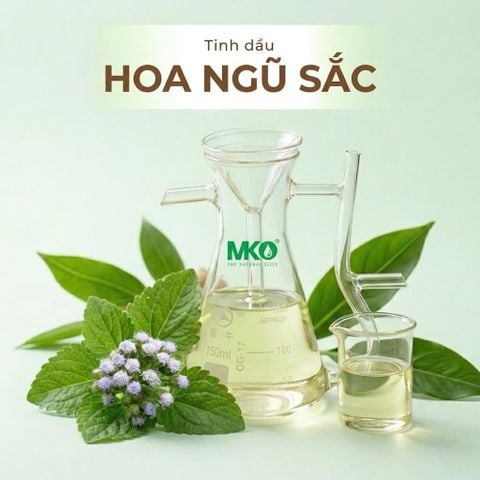Tinh Dầu Hoa Ngũ Sắc