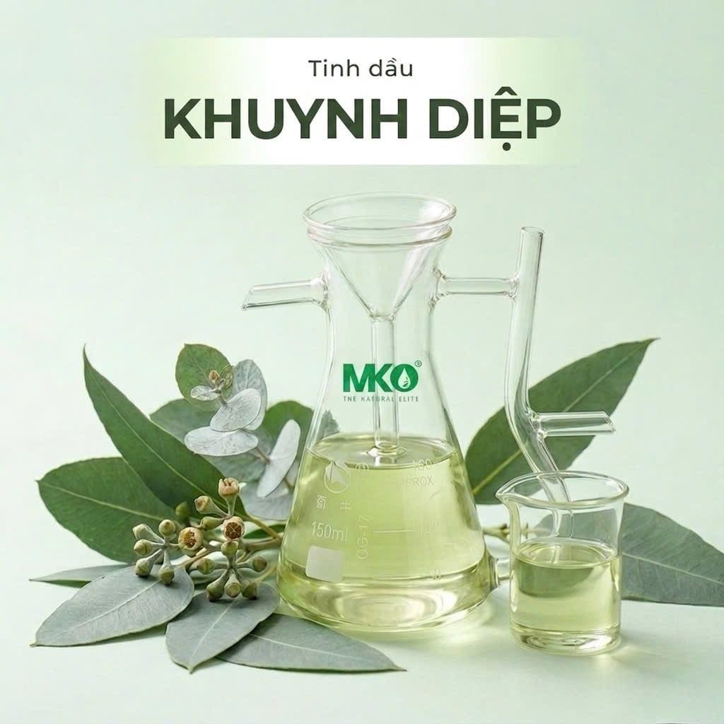 Tinh Dầu Khuynh Diệp * * *  Eucalyptus
