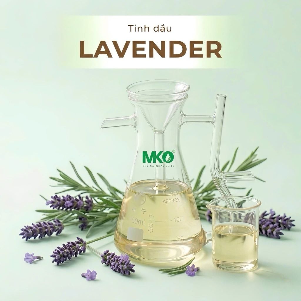 Tinh Dầu Oải Hương * * *  Lavender