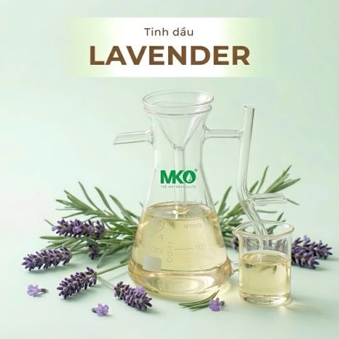 Tinh Dầu Oải Hương * * *  Lavender