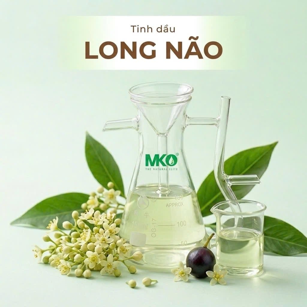 Tinh Dầu Long Não * * *  Camphor