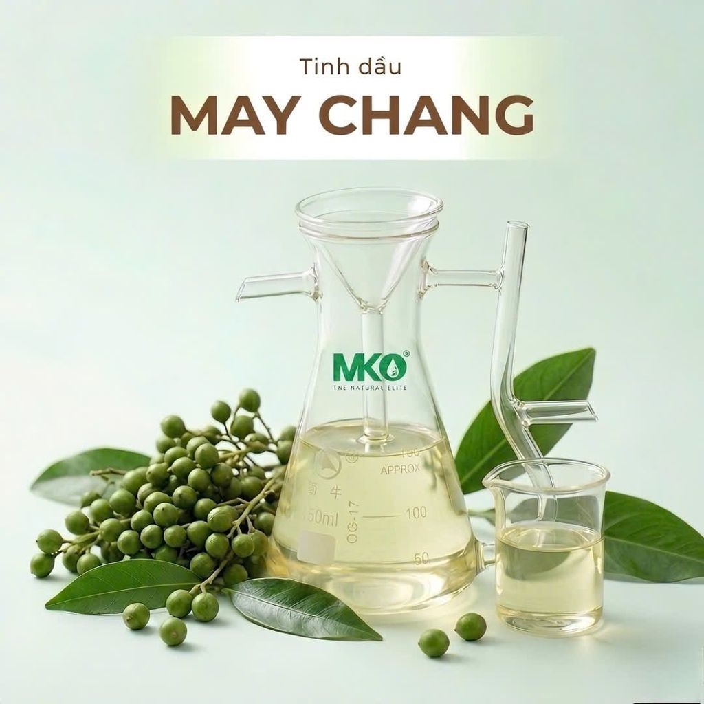 Tinh Dầu May Chang * * * Litsea Cubeba